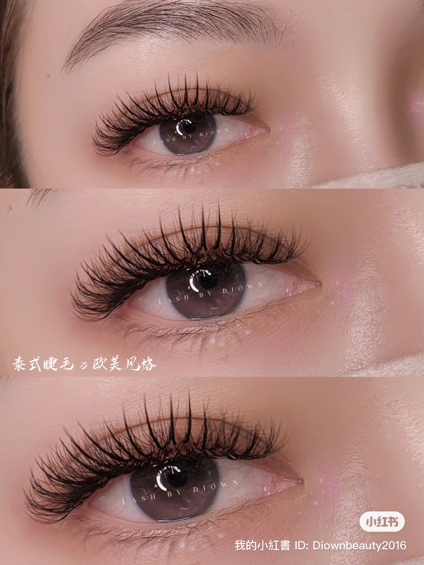 Advanced Lash Design Course