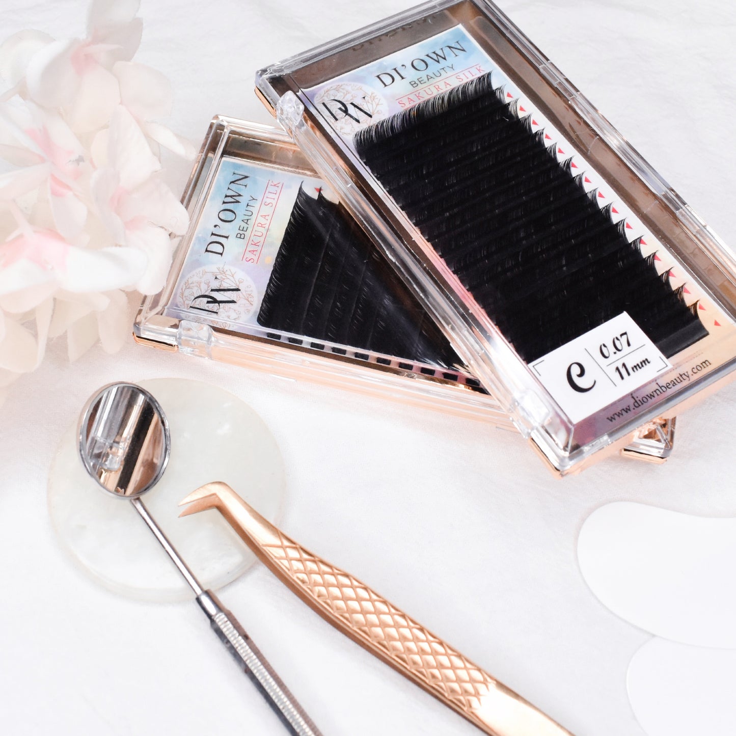 Lash introduction