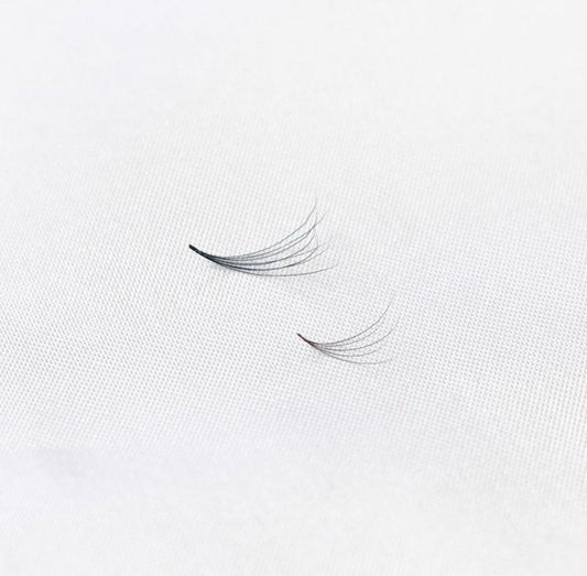 All-in-One Lash Mastery Diploma ( 4 days — 20 hours course )
