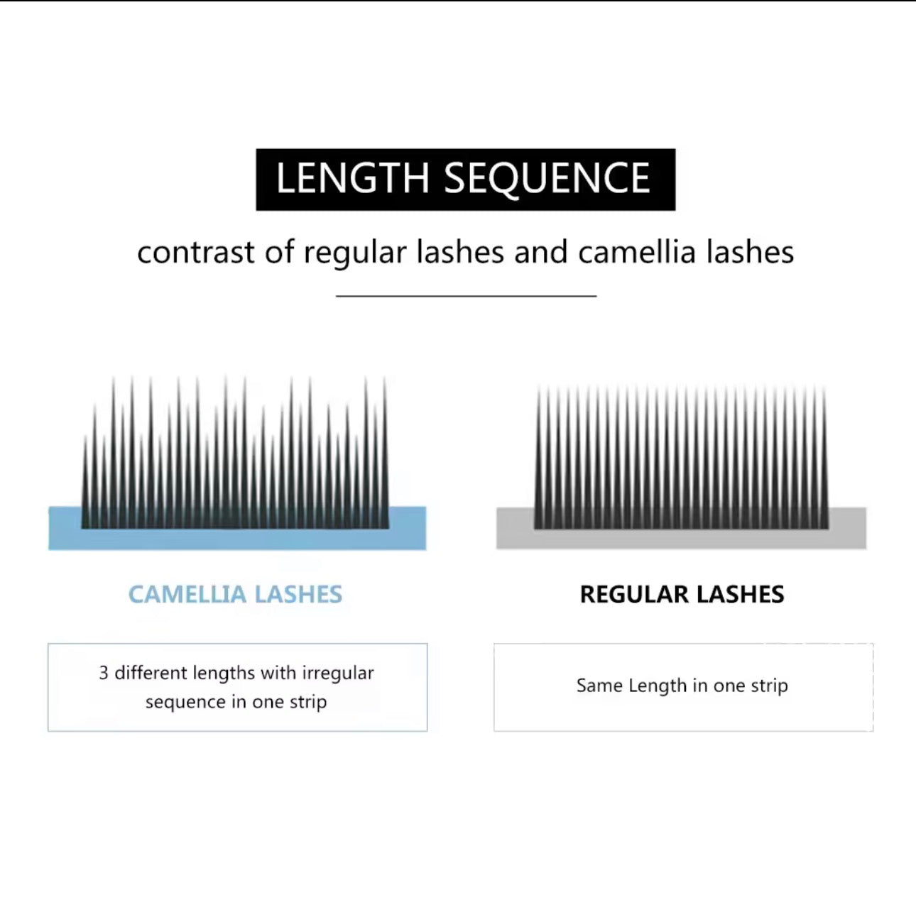 D curl — Super flat lash by magic lab