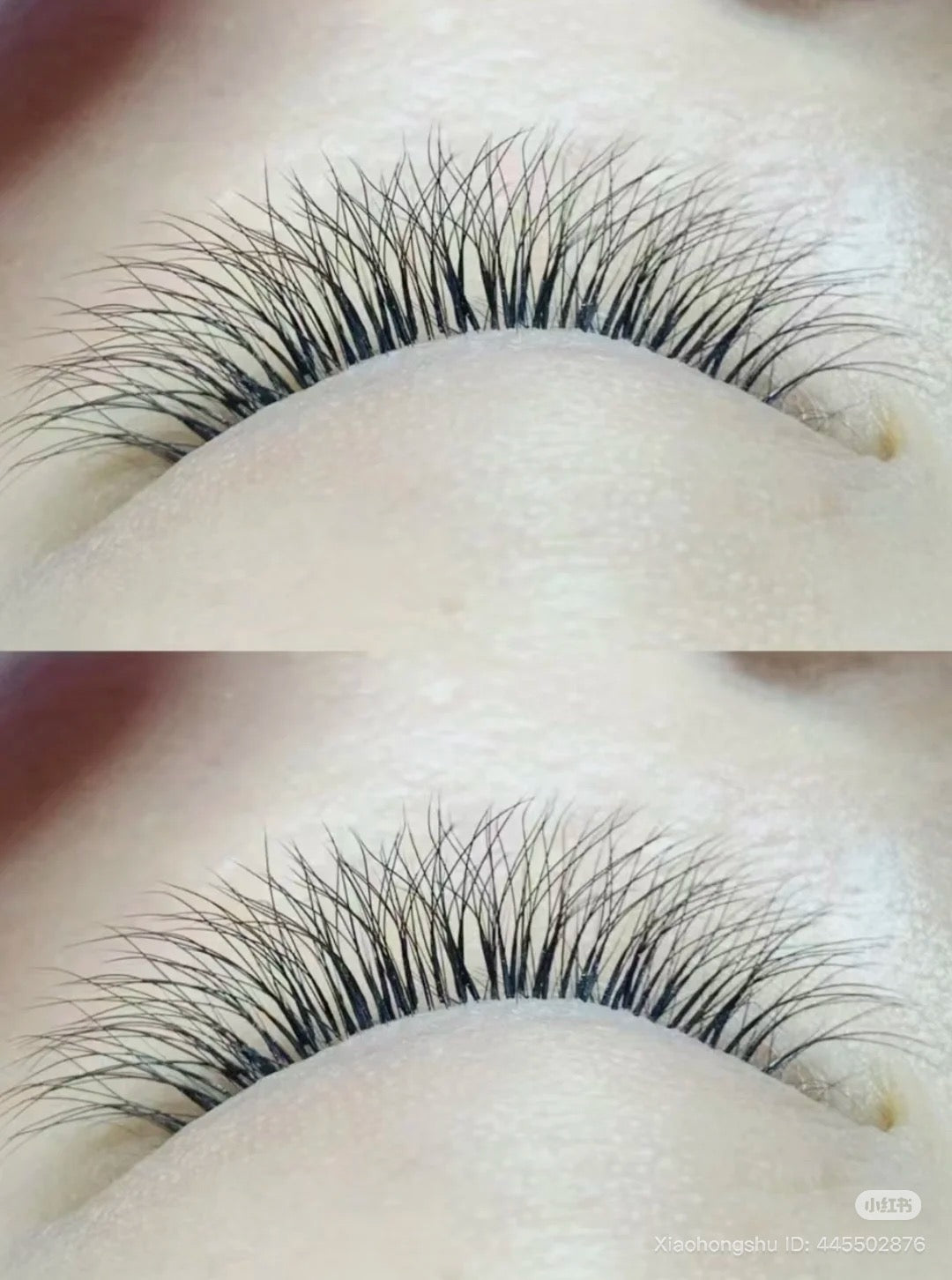 YY lash by magic lab