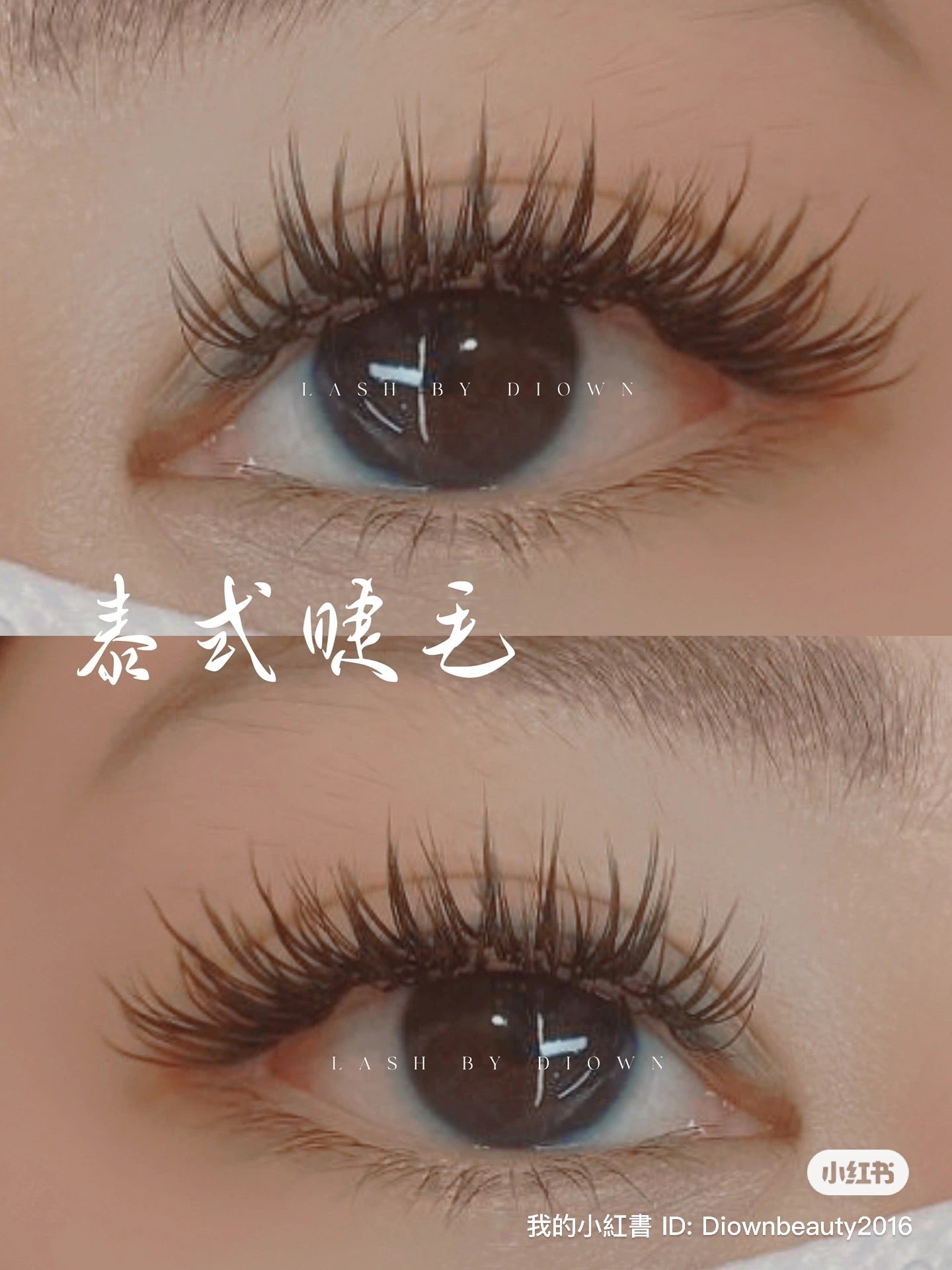 Advanced Lash Design Course
