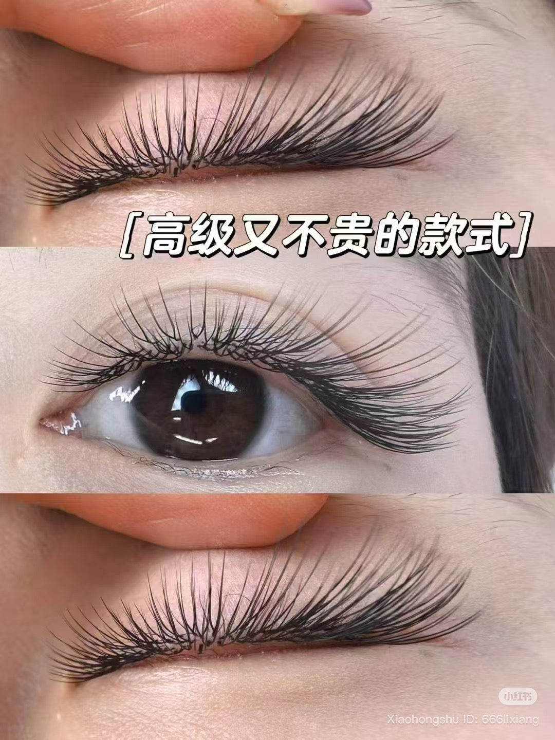 U blossom lash by magic lab