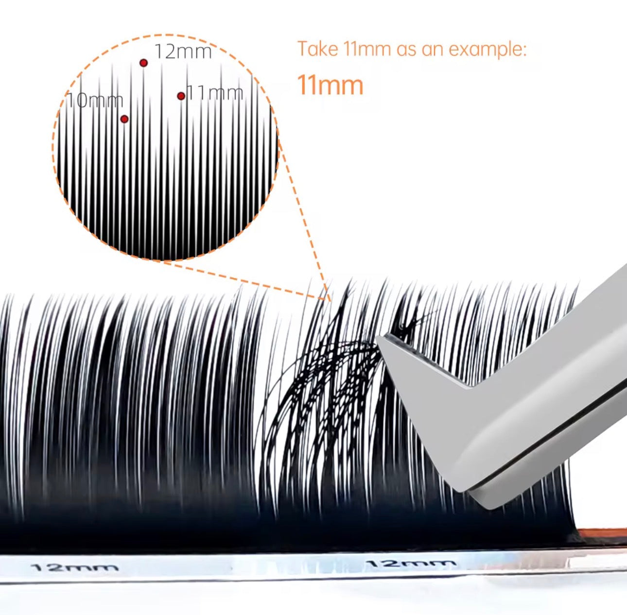 LJ curl camellia by magic lab