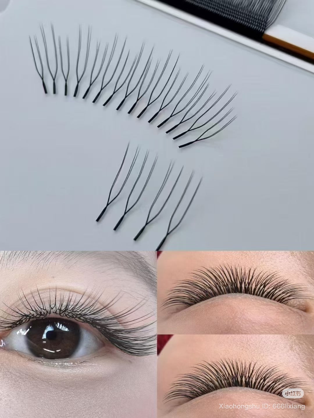 U blossom lash by magic lab