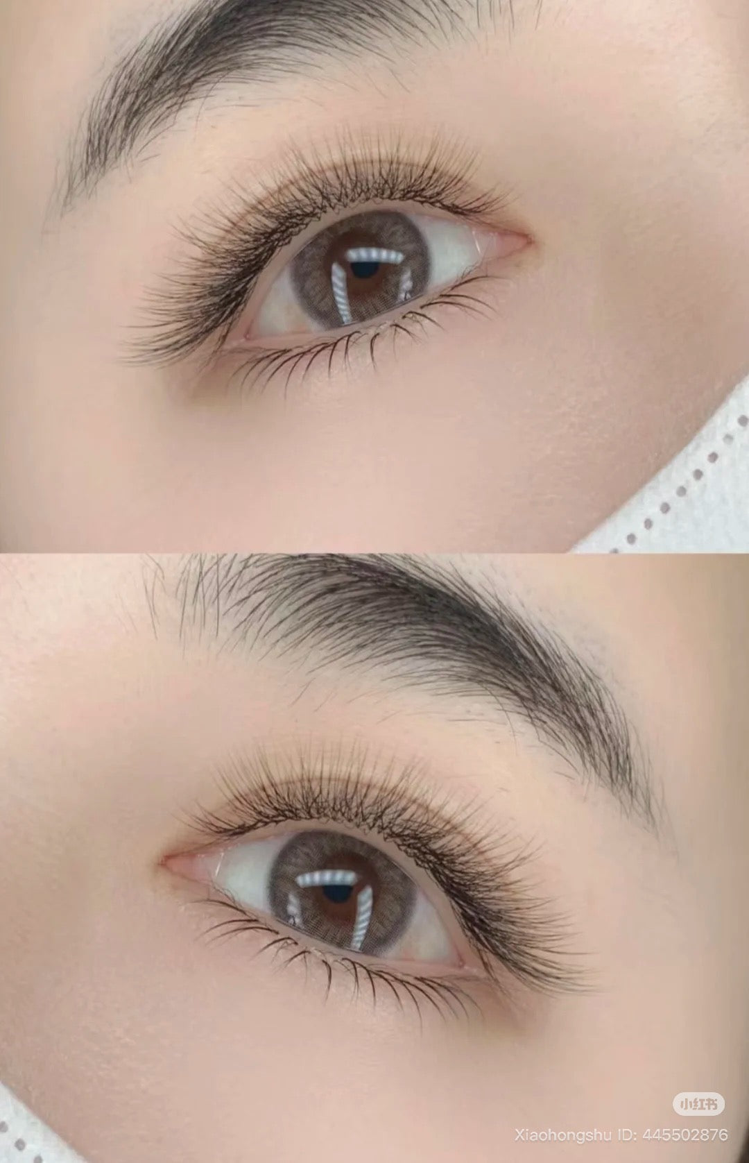 YY lash by magic lab