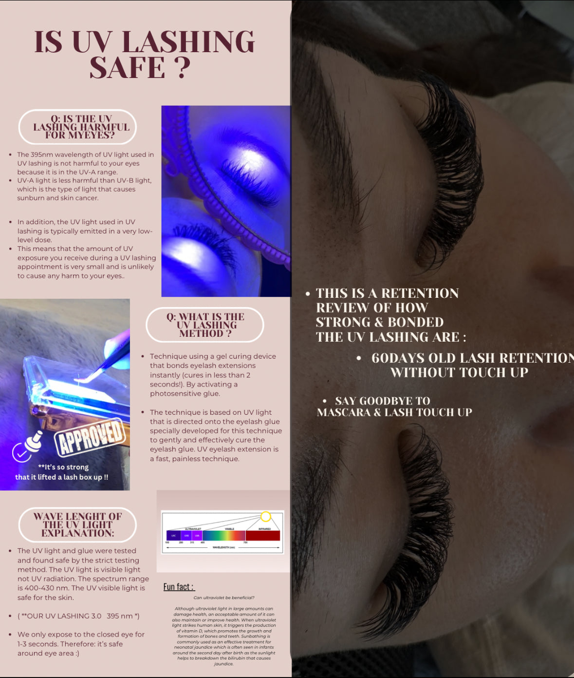 Beginner UV Lash technology ( 1:1 private class )