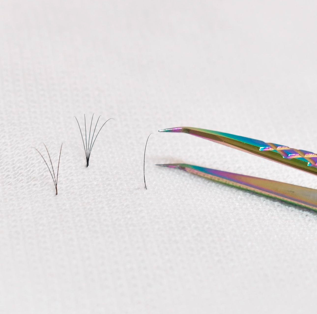 Lash introduction