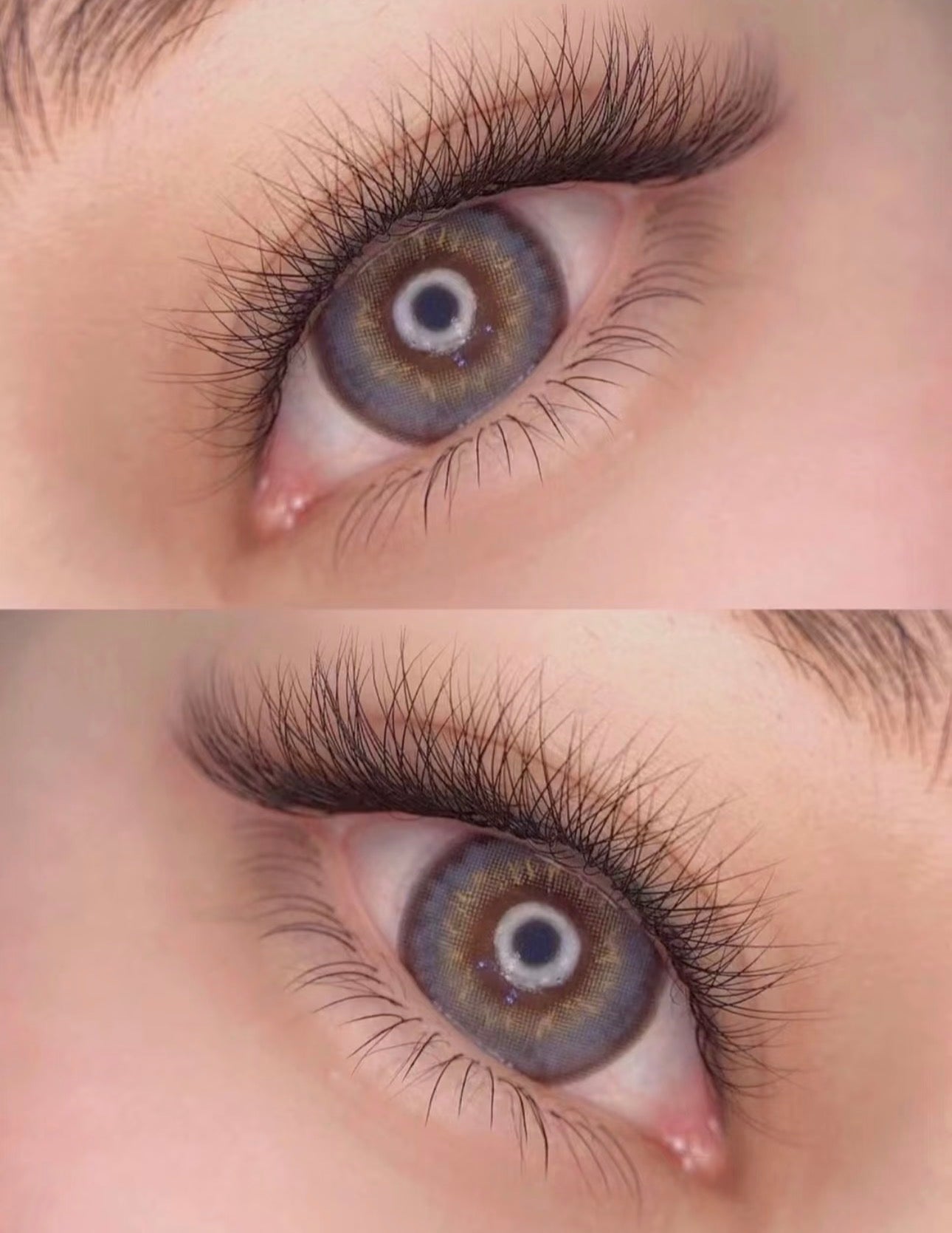 Natural 3D clover lash by magic lab